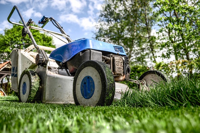 Tondeuse à gazon poussée en train de couper l’herbe dans un jardin.
